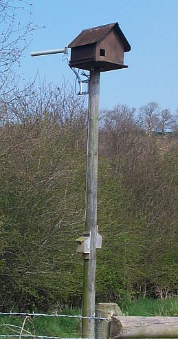 Owl Cam Box