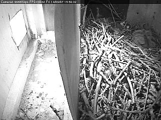 Cam 3 Pic