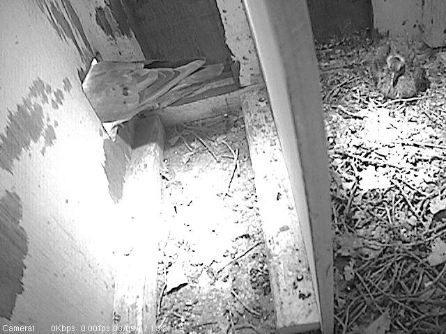 Cam 1 Image